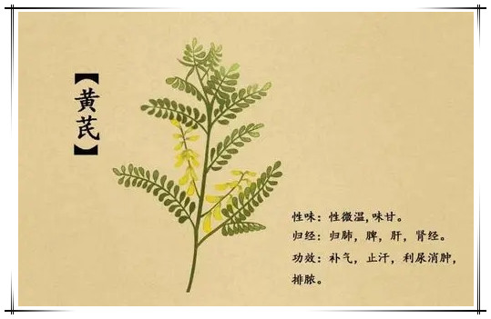 人參壓片糖果生產(chǎn)公司_德州健之源